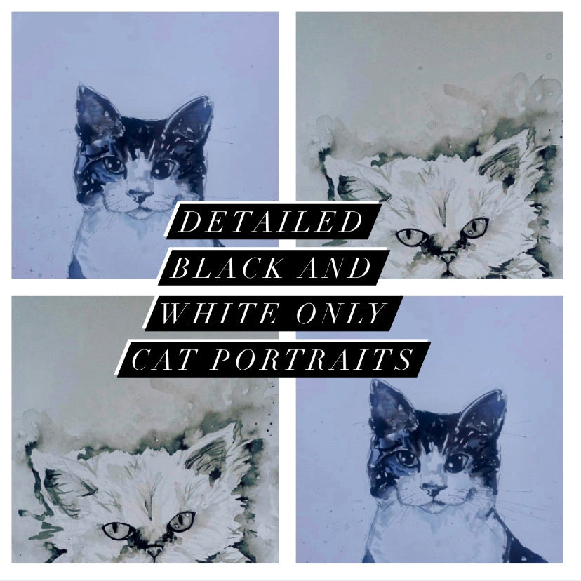 Pet portrait, detailed black and white cat portrait, no colour