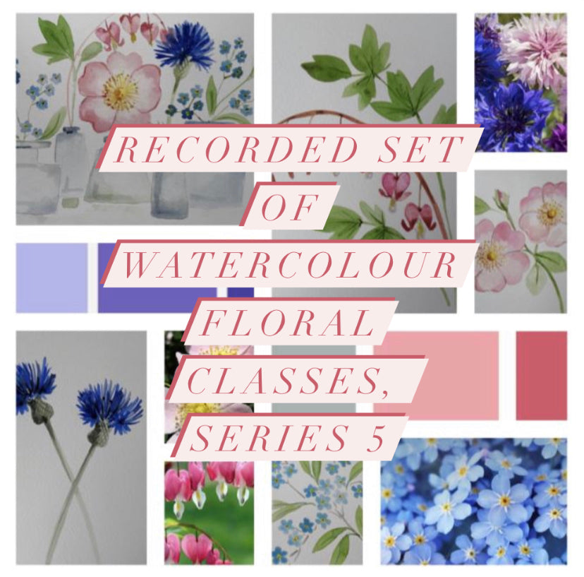 Ready to watch, recorded Watercolour art tutorials series 4, Victorian Favourites, 5 watercolour floral tutorials (dog rose, forget-me-not, cornflower, bleeding hearts and vintage vase composition)