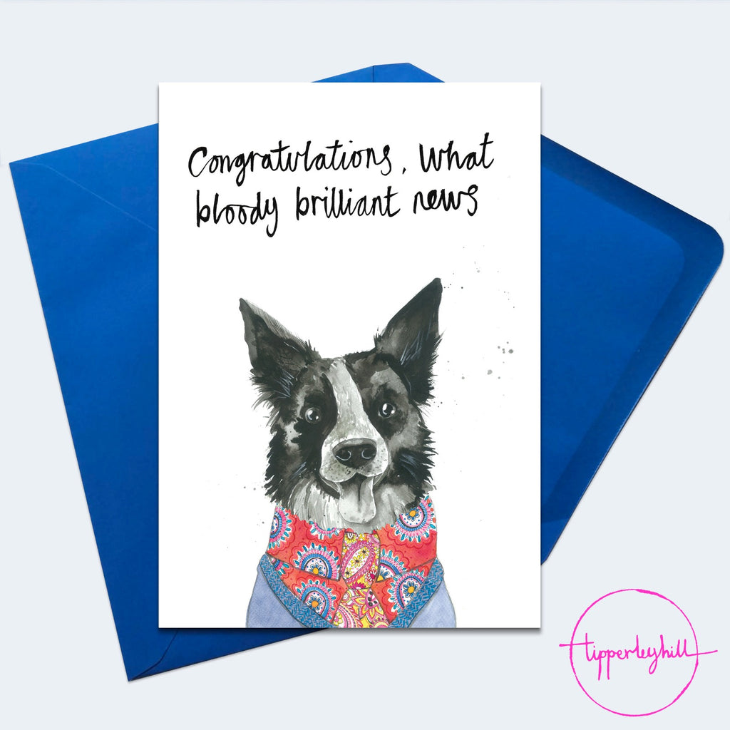 Card, AS26CONGRATS, Bazzle the collie ‘Congratulations what bloody brilliant news’