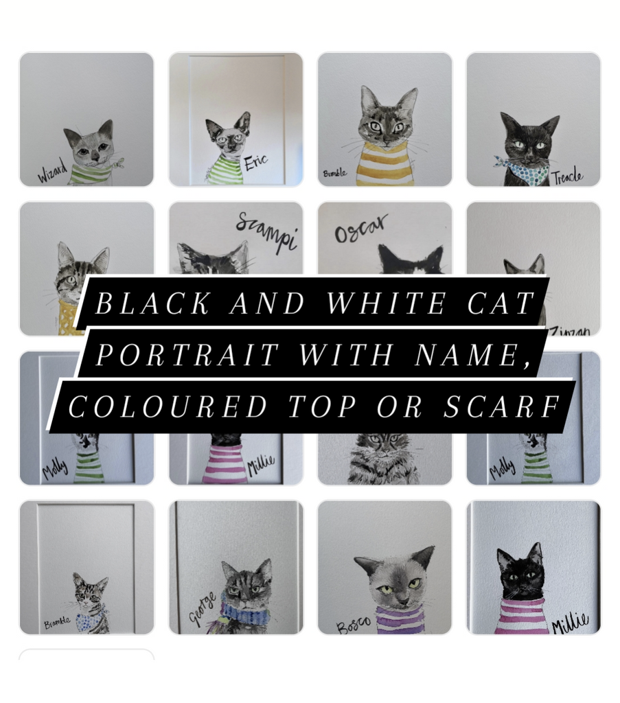 Pet portraits, small black and white, sketchy cat with coloured scarf or tops