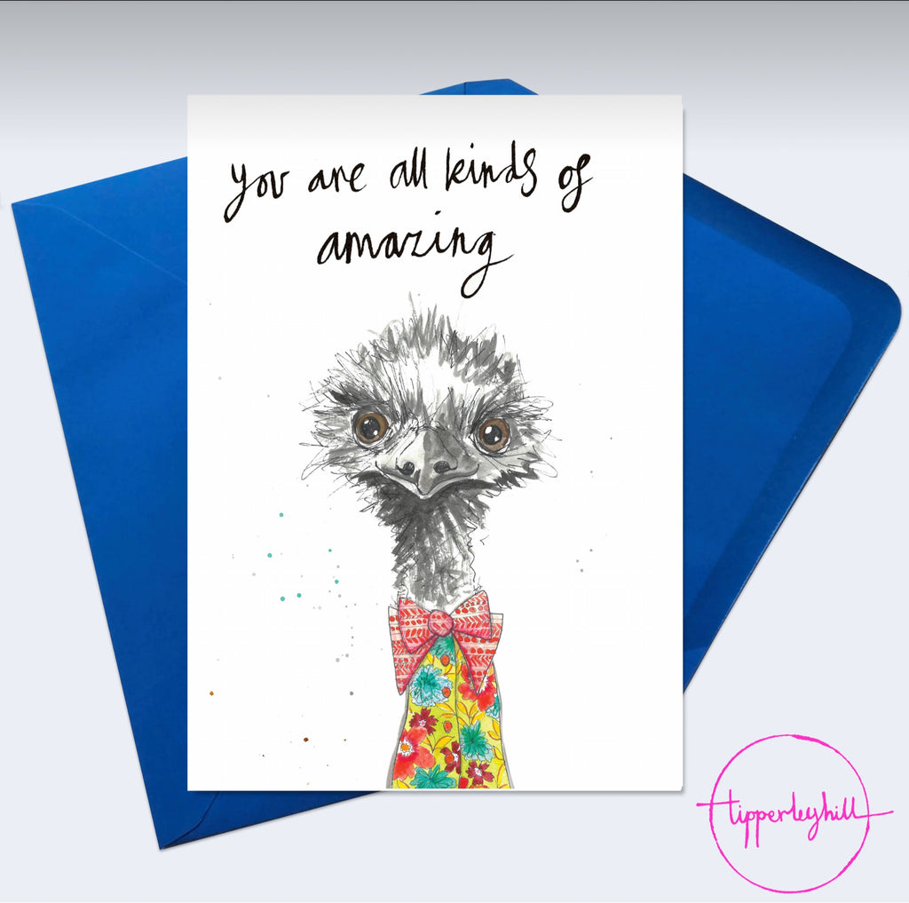 Card, AS04BRUCE, Bruce the emu, ‘You are all kinds of amazing’