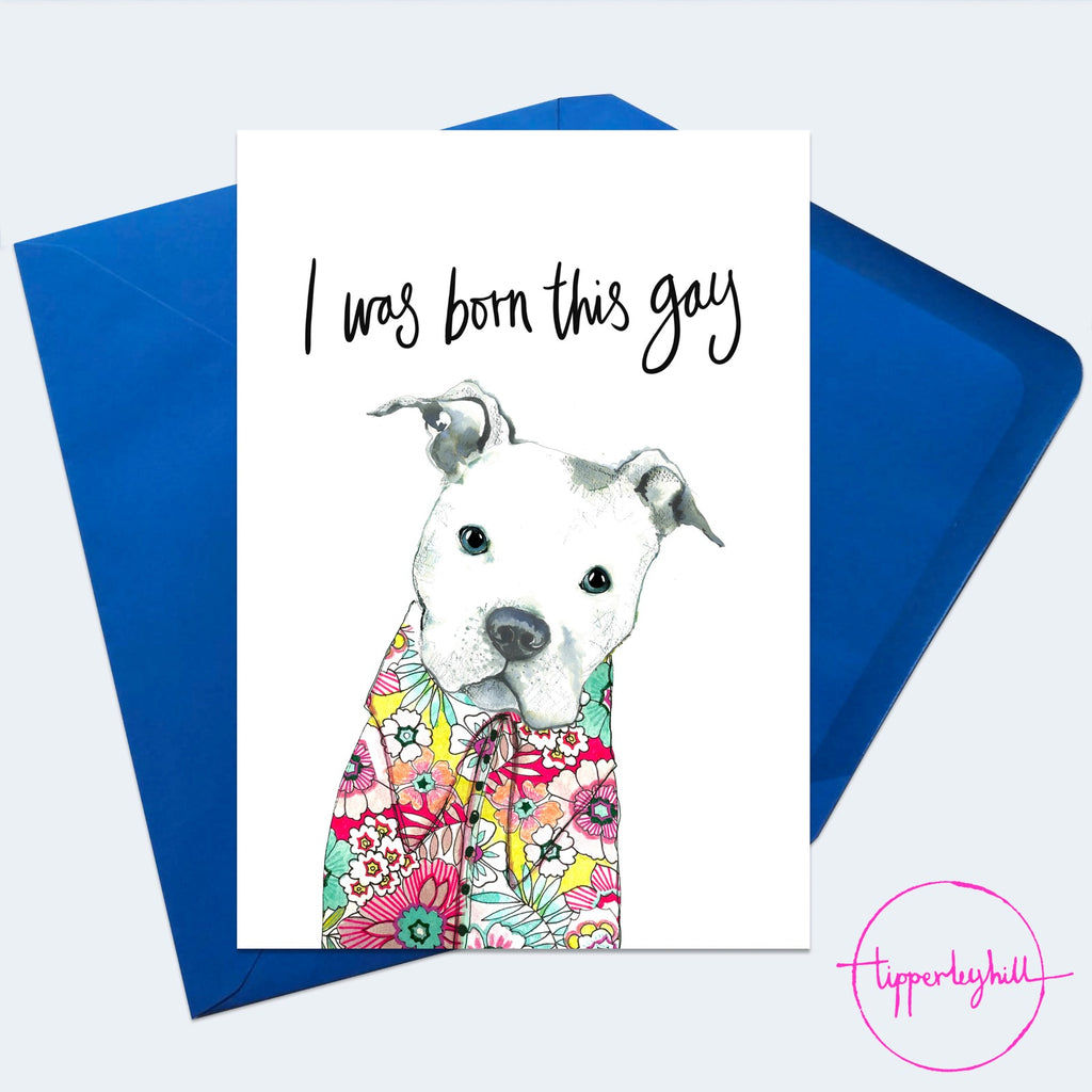 Card, AS125BORN, Doug the Staffie, ‘I was born this gay’