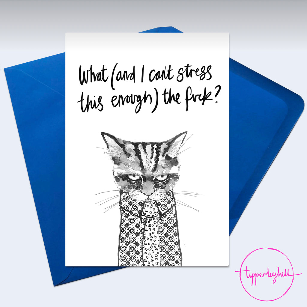Card, AS96STRESS, grumpy Colin cat, ‘What (and I can’t stress this enough) the fuck?’