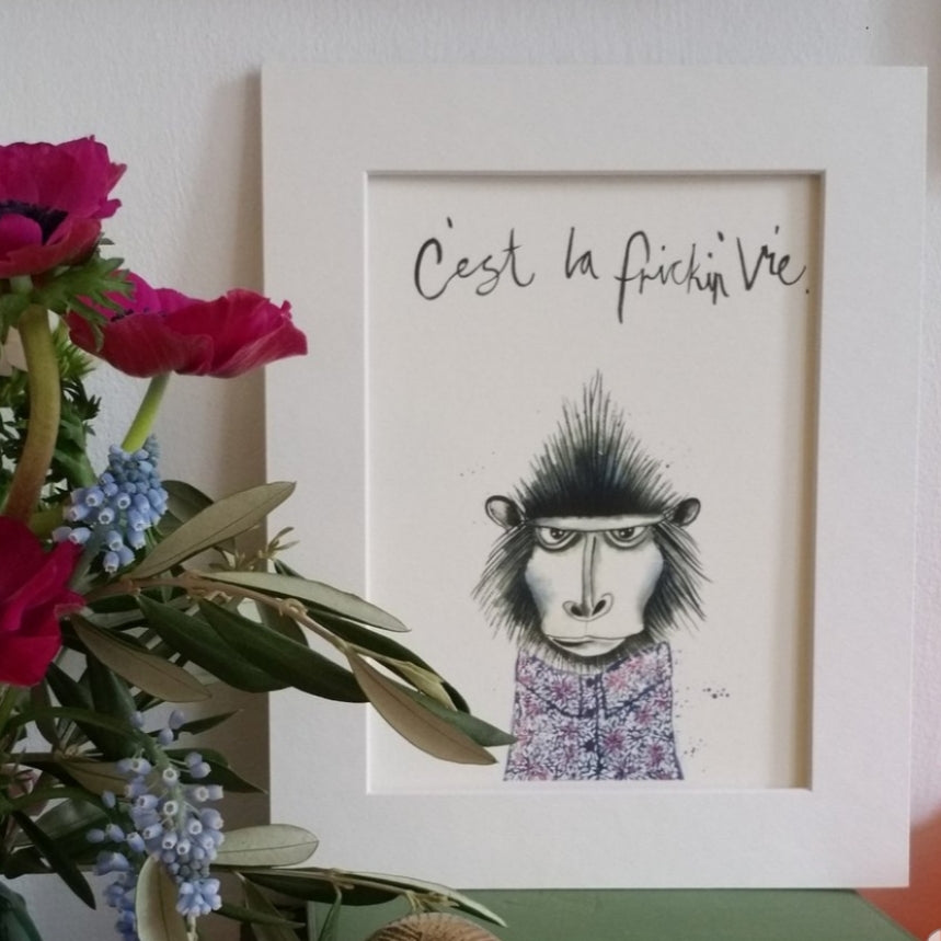 Animal art, Troy the monkey