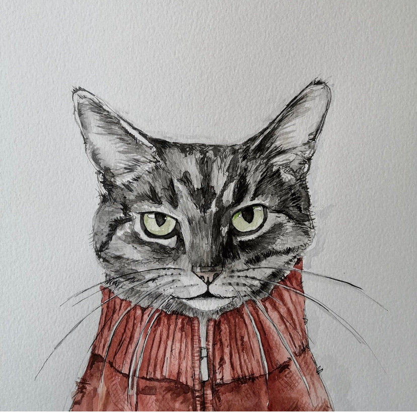 Pet portrait, black and white watercolour cat with coloured shirt