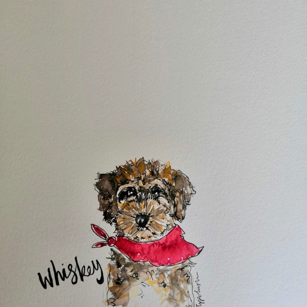 Pet portraits, mini, coloured, sketchy dog