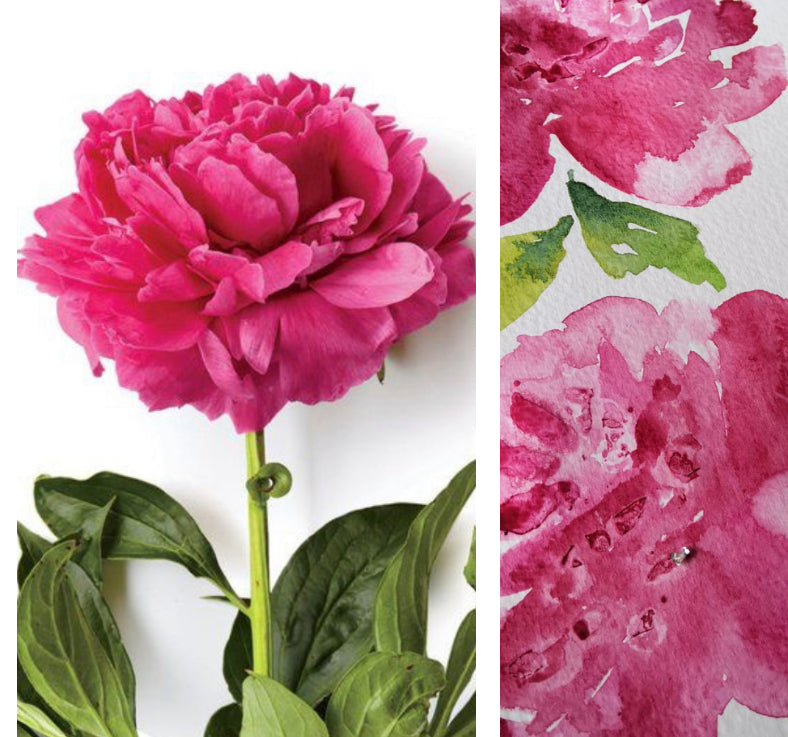 Recorded and ready to watch watercolour Peonies 4 ways (set of 4)