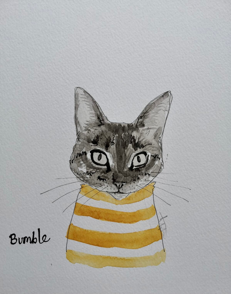 Pet portraits, small black and white, sketchy cat with coloured scarf or tops