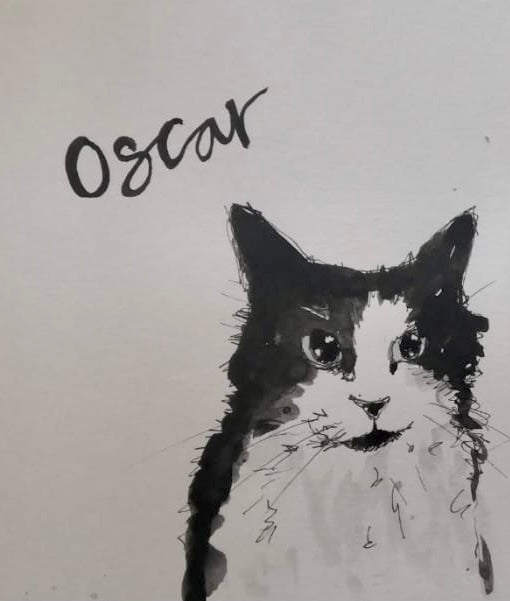 Pet portraits, small black and white, sketchy cat with coloured scarf or tops