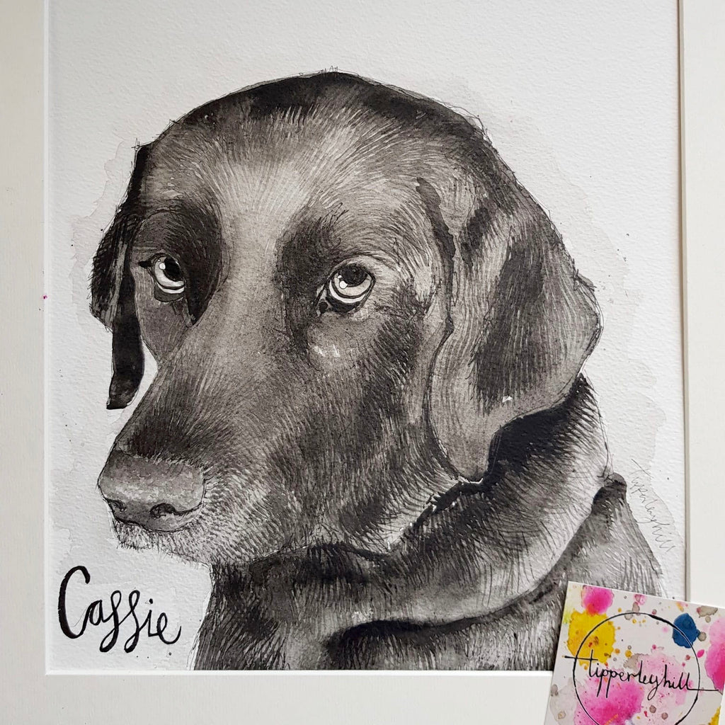 Pet portraits, detailed black and white dog portraits