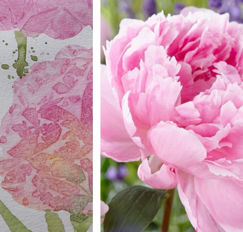Recorded and ready to watch watercolour Peonies 4 ways (set of 4)
