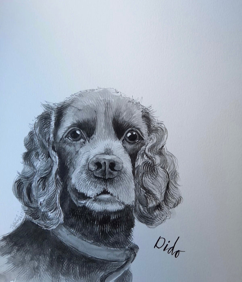 Pet portraits, detailed black and white dog portraits