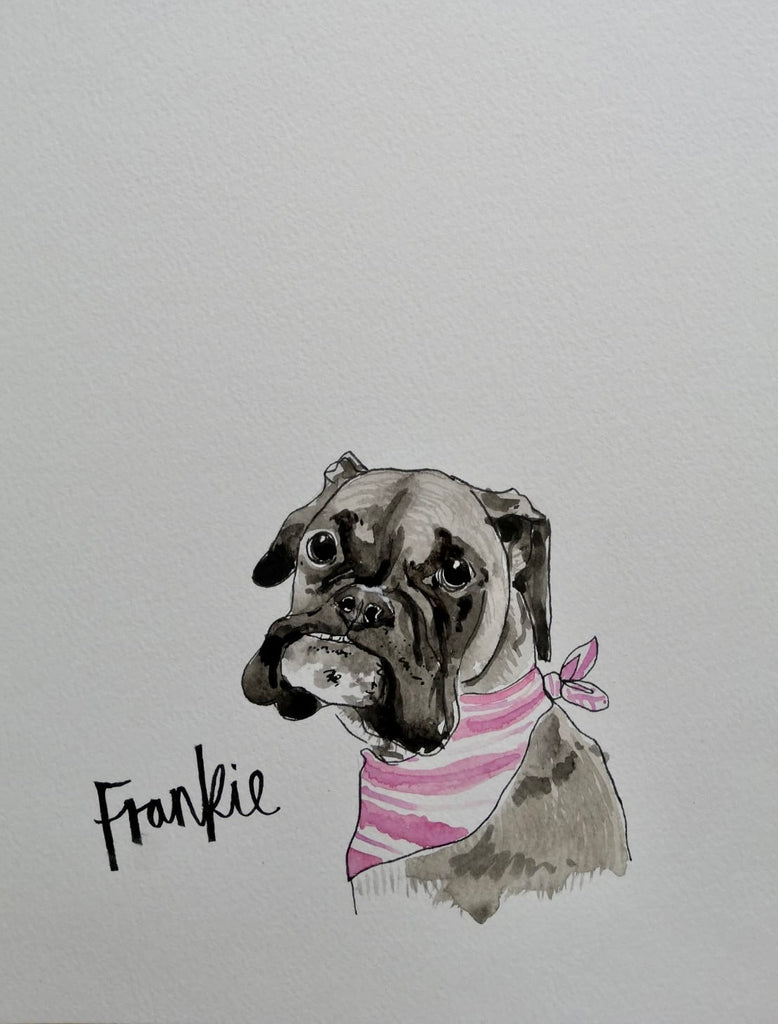 Pet portraits, mini, coloured, sketchy dog