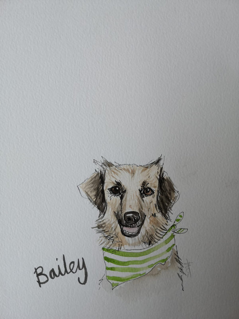 Pet portraits, mini, coloured, sketchy dog