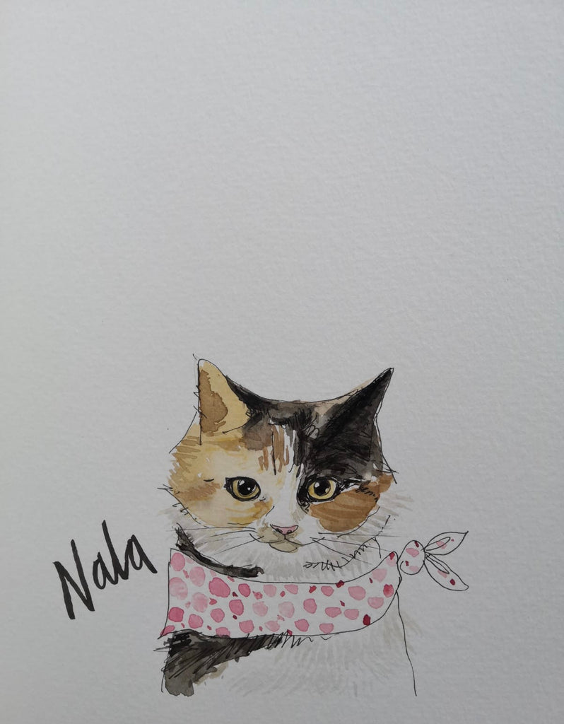 Pet portraits, mini, coloured, sketchy cat