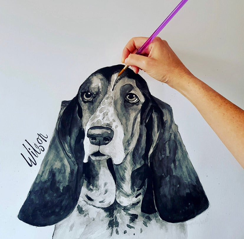 Pet portraits, detailed black and white dog portraits