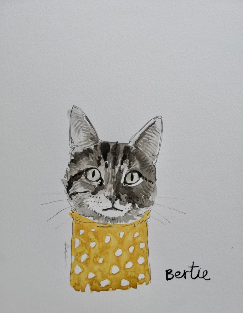 Pet portraits, small black and white, sketchy cat with coloured scarf or tops