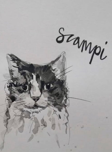 Pet portraits, small black and white, sketchy cat with coloured scarf or tops