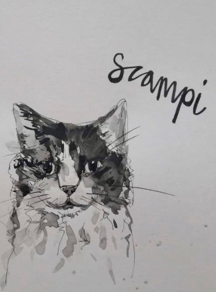 Pet portraits, small black and white, sketchy cat
