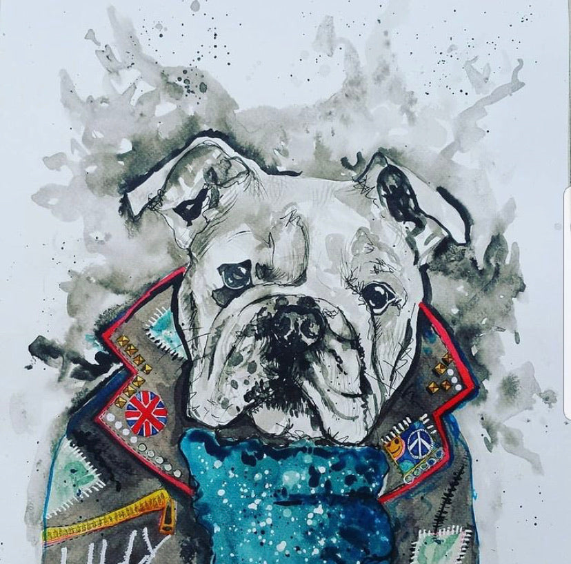 Pet portrait, black and white dog portrait with coloured shirt