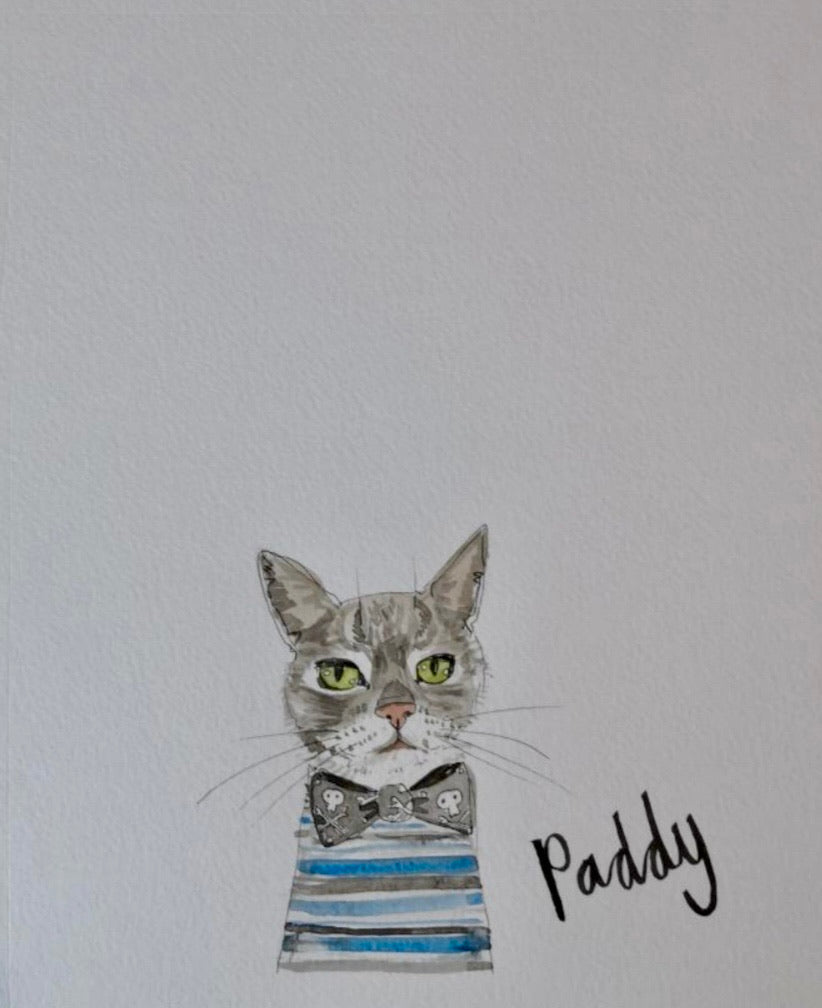 Pet portraits, mini, coloured, sketchy cat