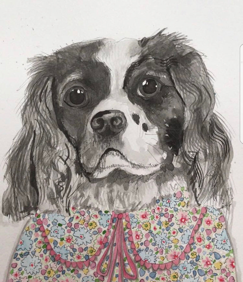 Pet portrait, black and white dog portrait with coloured shirt
