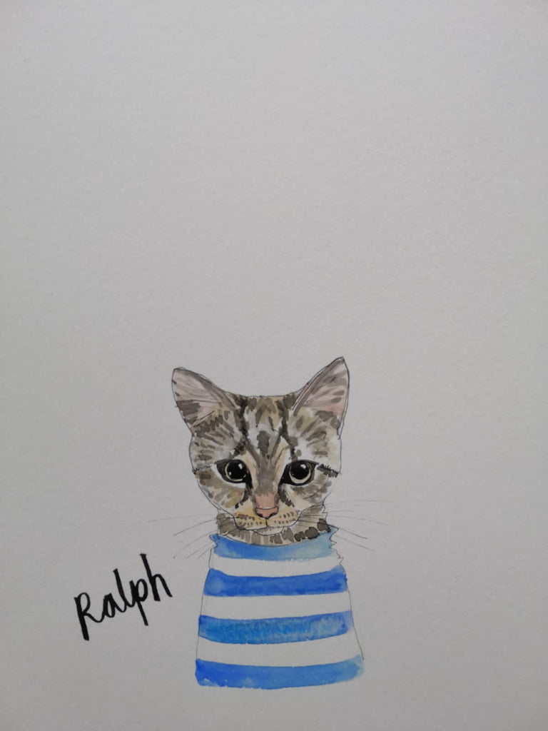 Pet portraits, mini, coloured, sketchy cat
