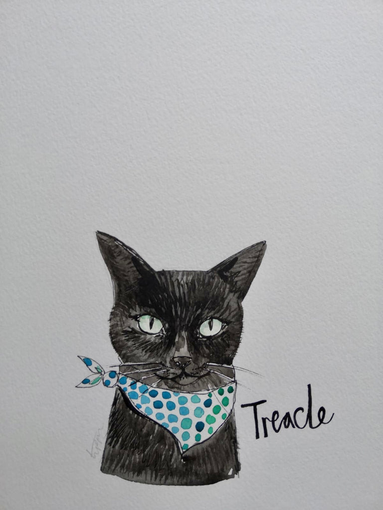 Pet portraits, small black and white, sketchy cat with coloured scarf or tops