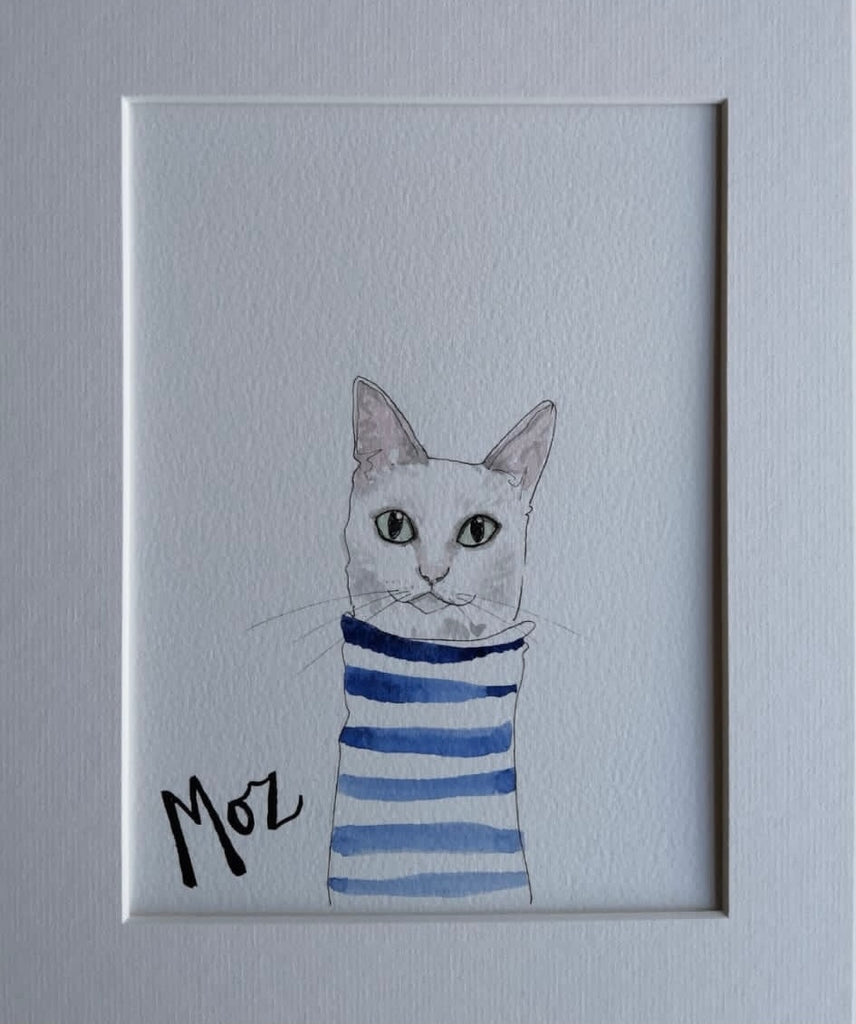 Pet portraits, mini, coloured, sketchy cat