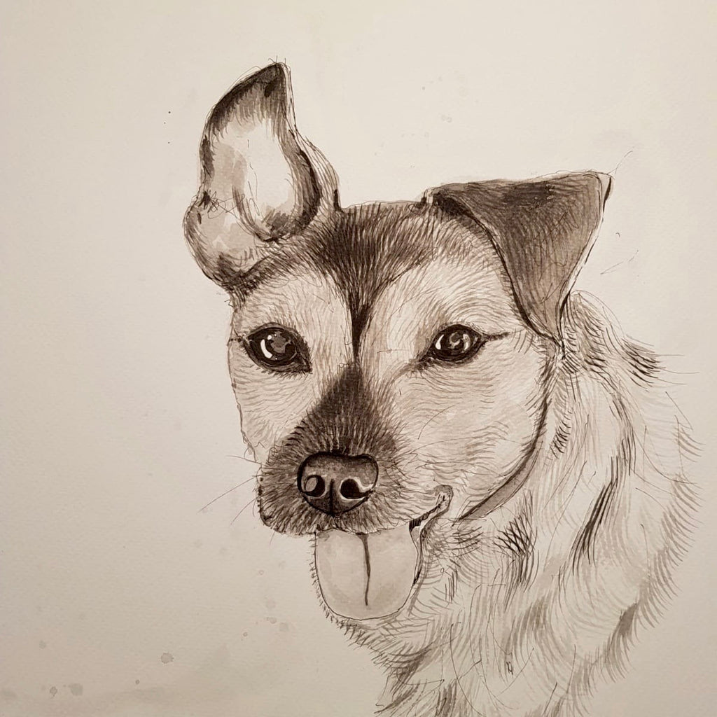 Pet portraits, detailed black and white dog portraits