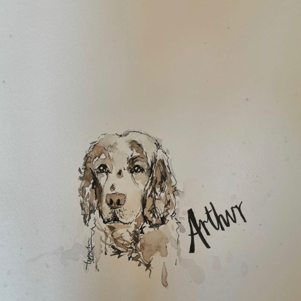 Pet portraits, mini, coloured, sketchy dog