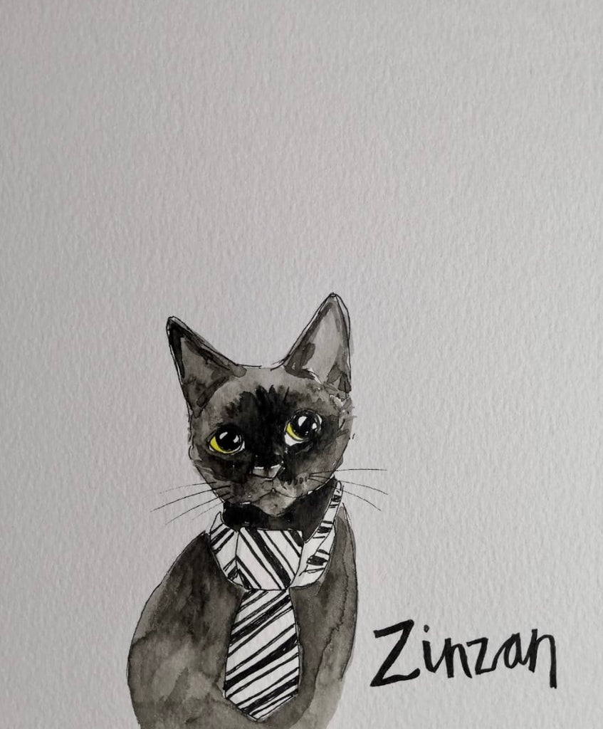 Pet portraits, small black and white, sketchy cat with coloured scarf or tops