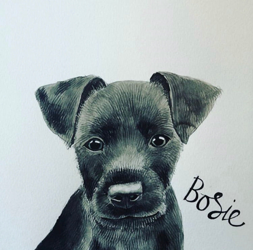 Pet portraits, detailed black and white dog portraits