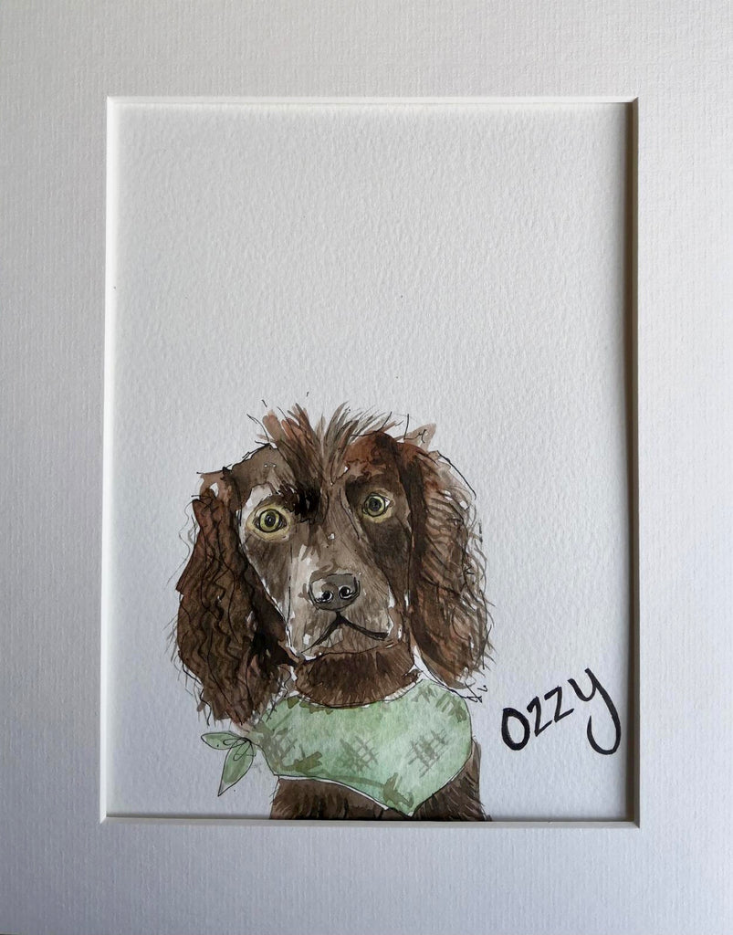 Pet portraits, mini, coloured, sketchy dog