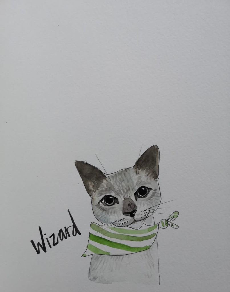 Pet portraits, small black and white, sketchy cat with coloured scarf or tops