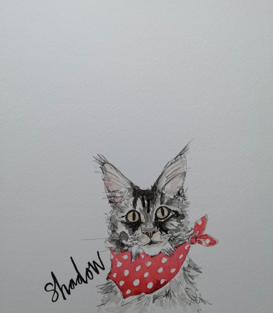 Pet portraits, mini, coloured, sketchy cat