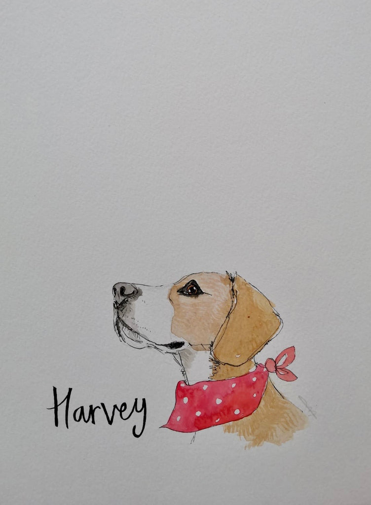 Pet portraits, mini, coloured, sketchy dog