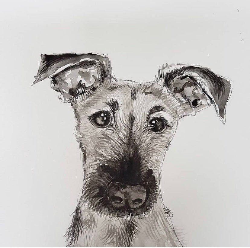 Pet portraits, detailed black and white dog portraits