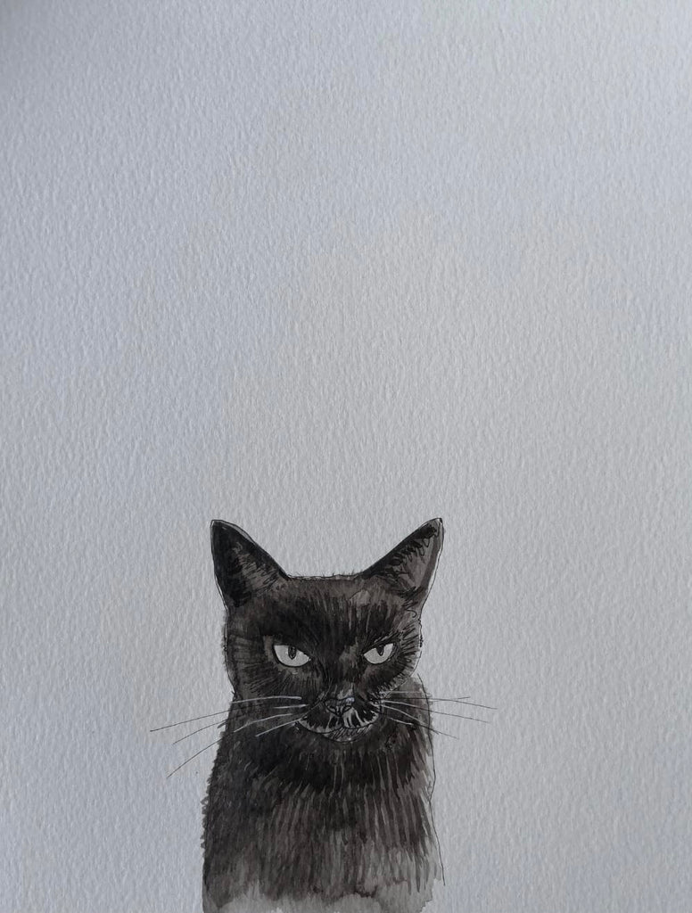 Pet portraits, small black and white, sketchy cat with coloured scarf or tops