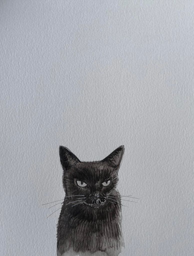 Pet portraits, small black and white, sketchy cat