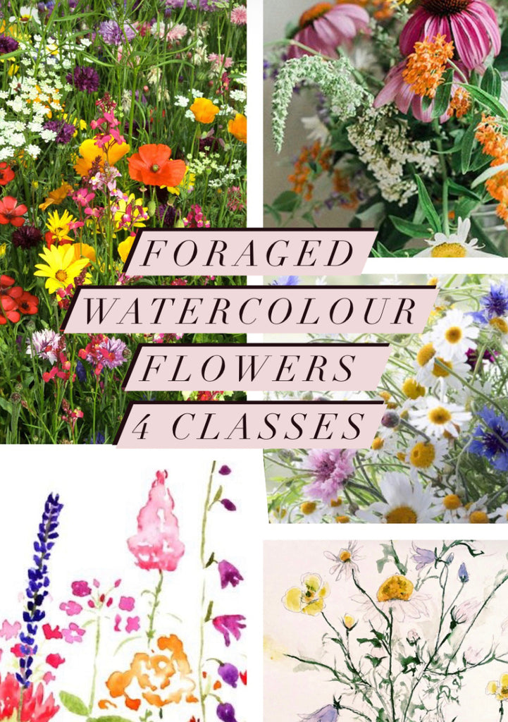 Bundle of 16 watercolour classes (Recorded 4 x expressive florals, recorded 4 wild landscapes, March 4 x foraged flowers and April 4 x Spring landscapes)