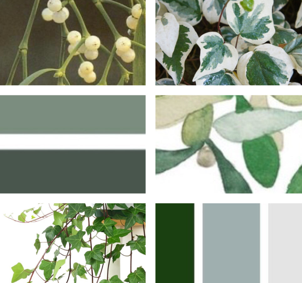 Recorded and ready to watch watercolour classes ‘Festive Flowers’ (set of 3 Cyclamen, Feather and foliage swag and Mistletoe and ivy)