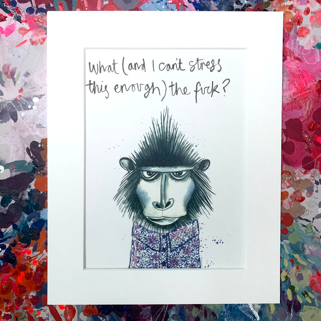 Animal art, Troy the monkey