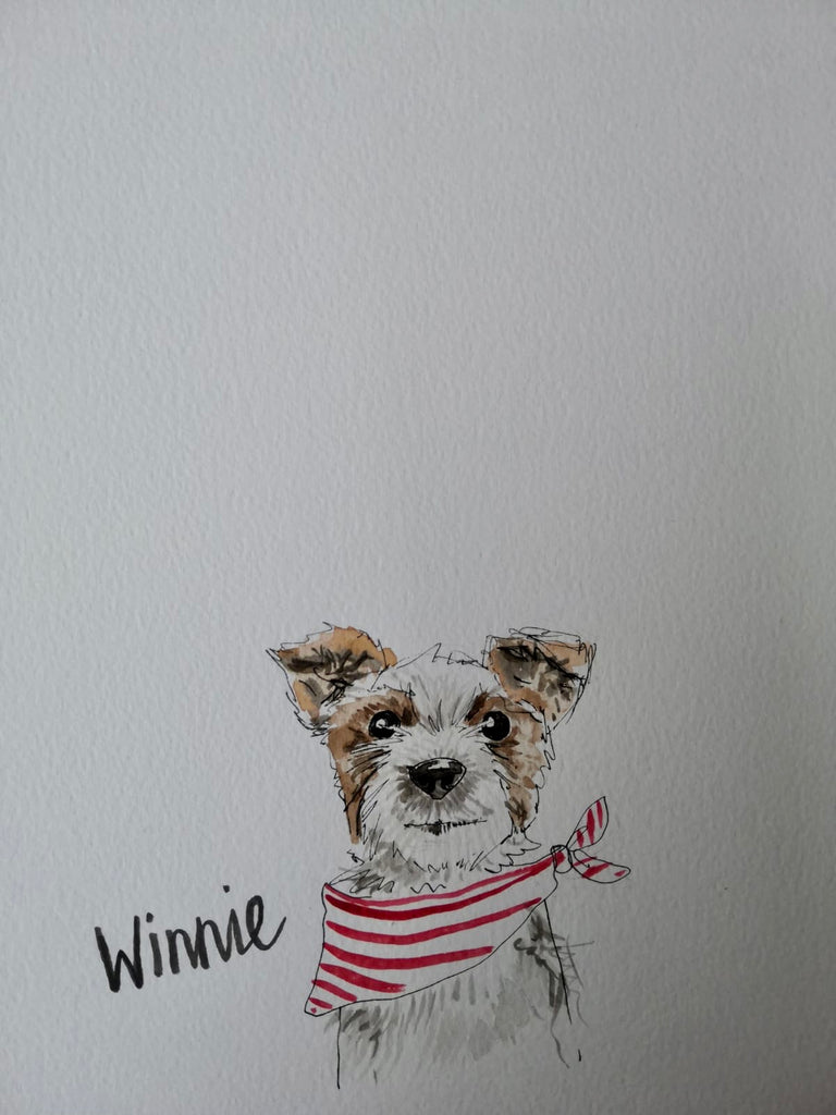 Pet portraits, mini, coloured, sketchy dog