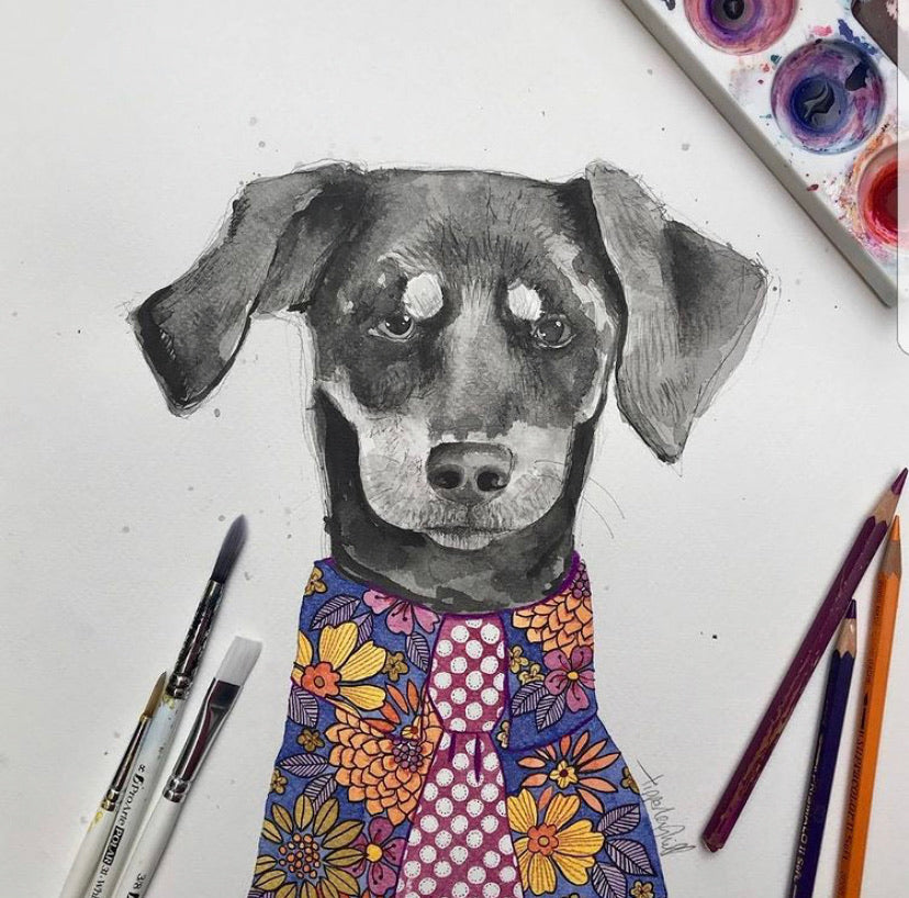 Pet portrait, black and white dog portrait with coloured shirt