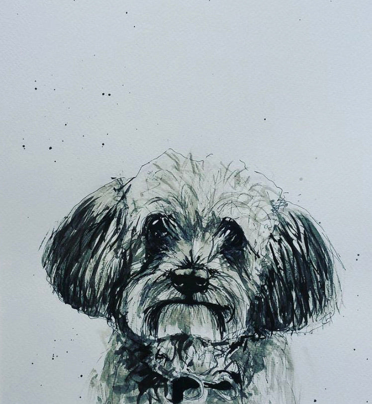 Pet portraits, detailed black and white dog portraits