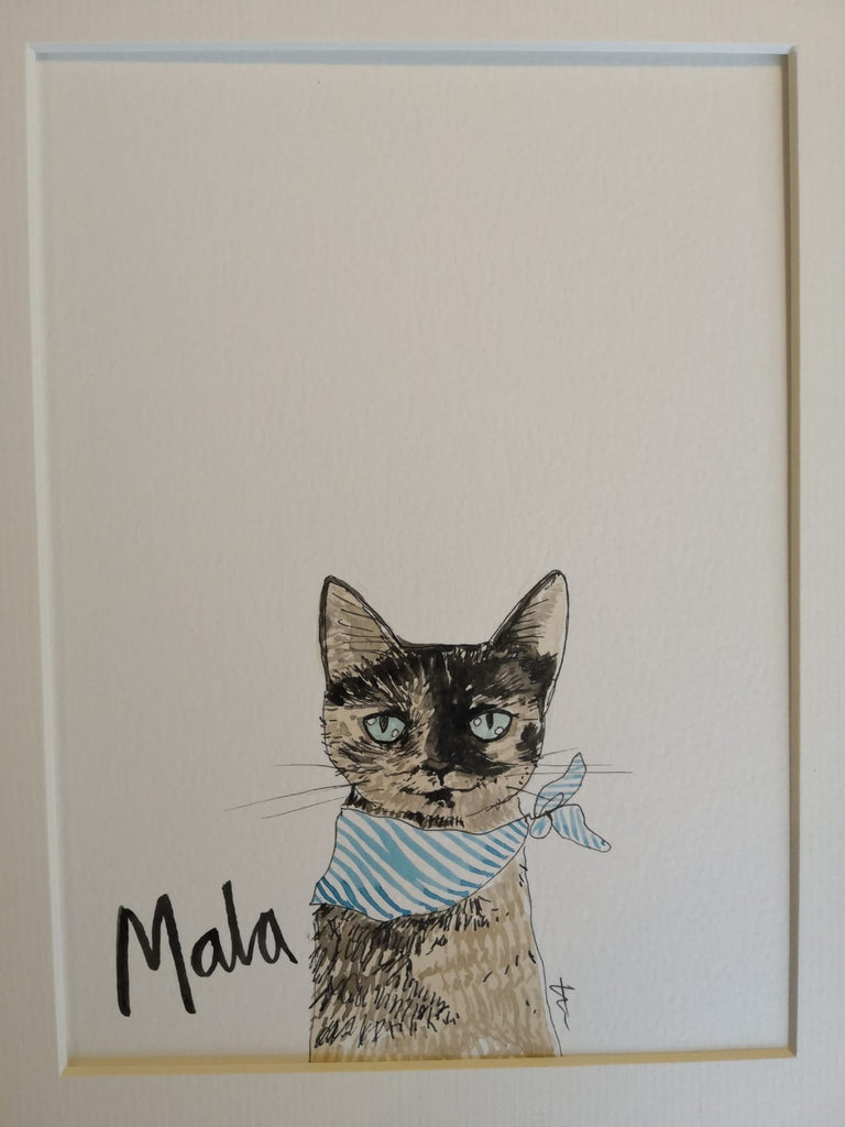 Pet portraits, mini, coloured, sketchy cat