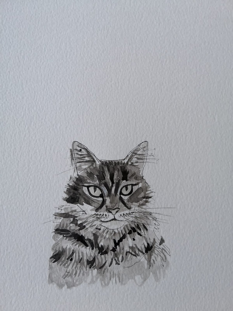 Pet portraits, small black and white, sketchy cat with coloured scarf or tops