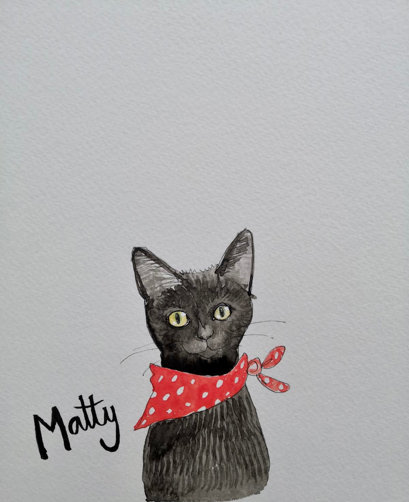 Pet portraits, small black and white, sketchy cat with coloured scarf or tops