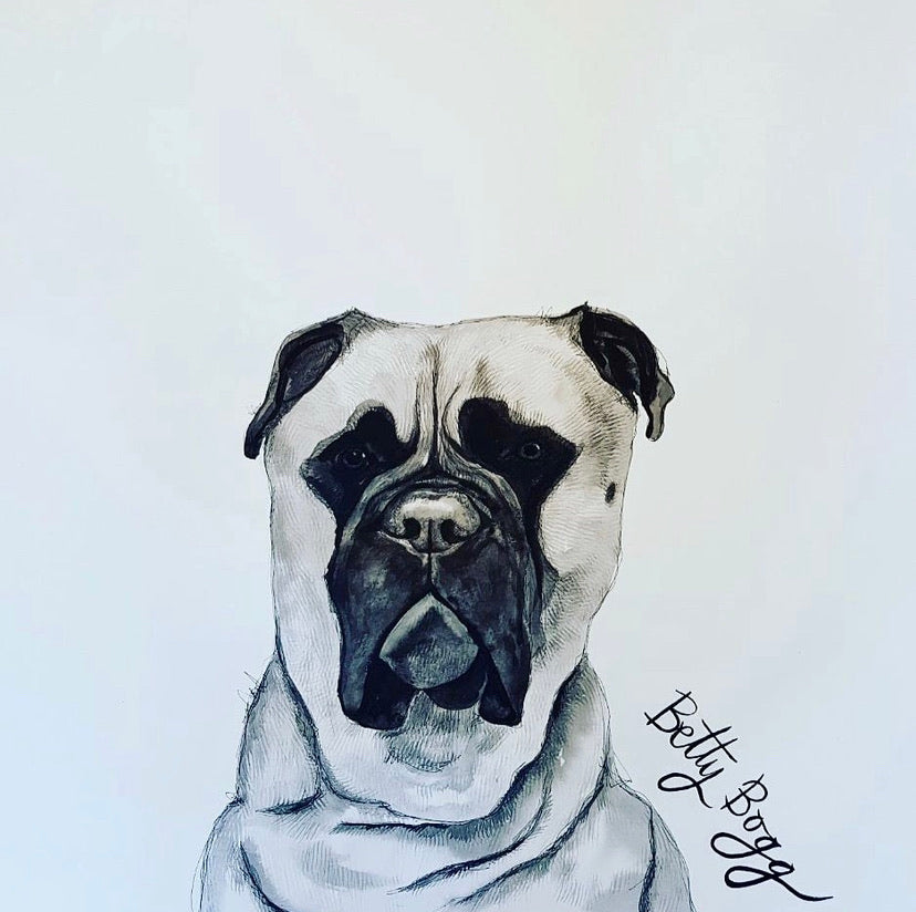 Pet portraits, detailed black and white dog portraits
